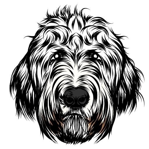 Griff Doodle Wirehaired Pointing Griffon Poodle Mix   Cropped Floofy Doodle Site Icon 