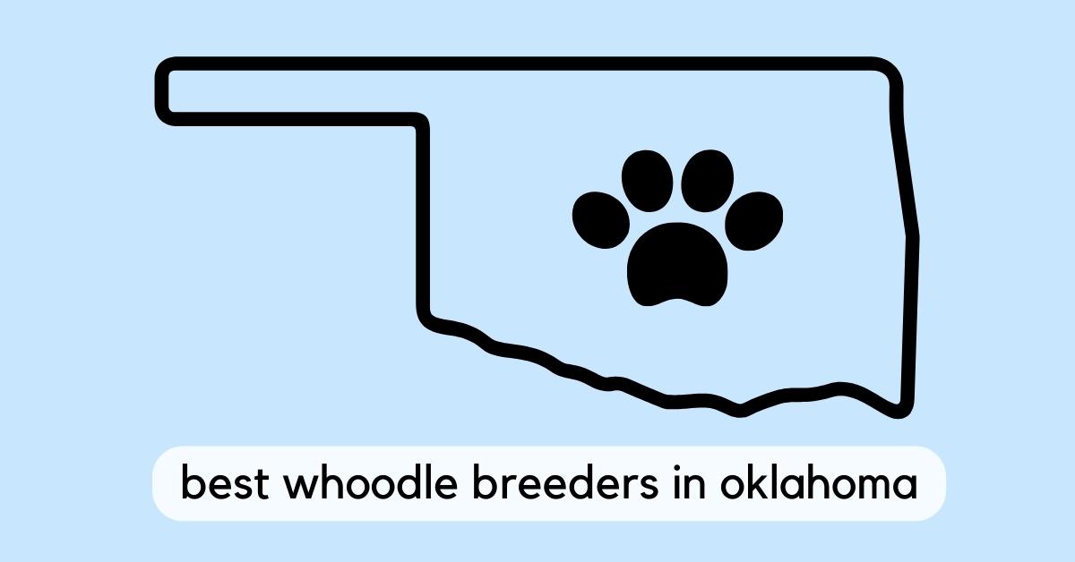 Best Whoodle Breeders in Oklahoma (2023)