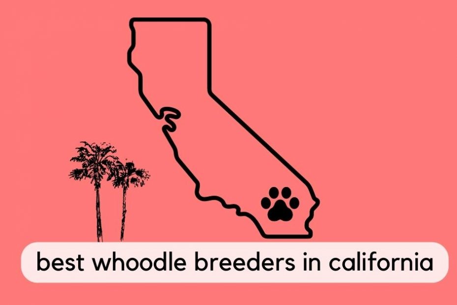State of California whoodle breeders