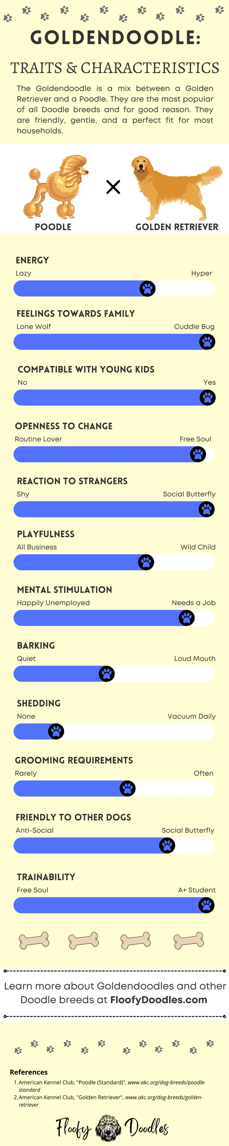 Goldendoodles traits and characteristics