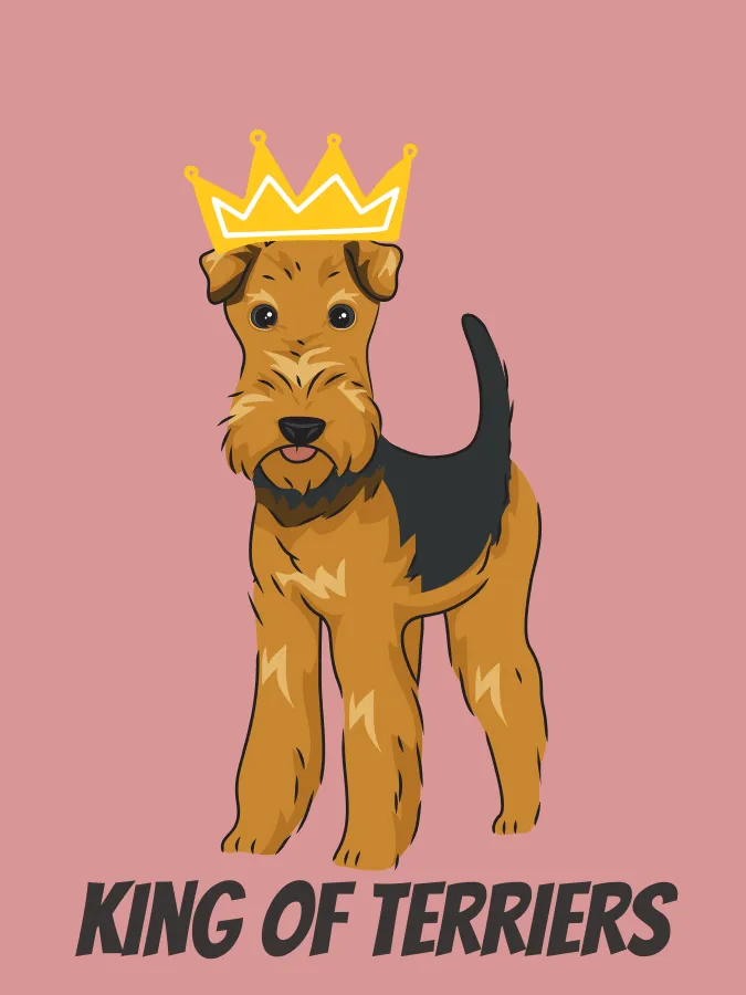 Cartoon Airedale Terrier wearing a crown as the king of terriers