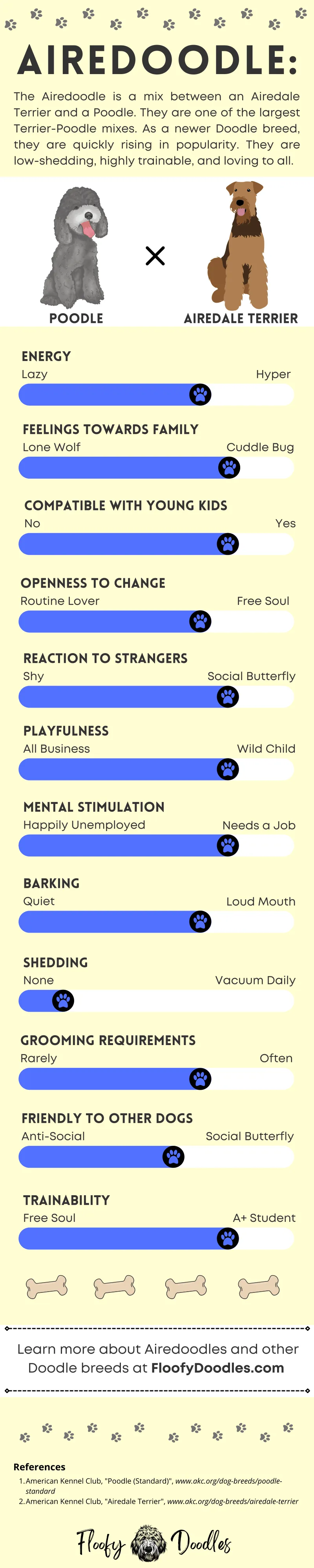 Infographic of the Airedale Terrier Poodle breed summary