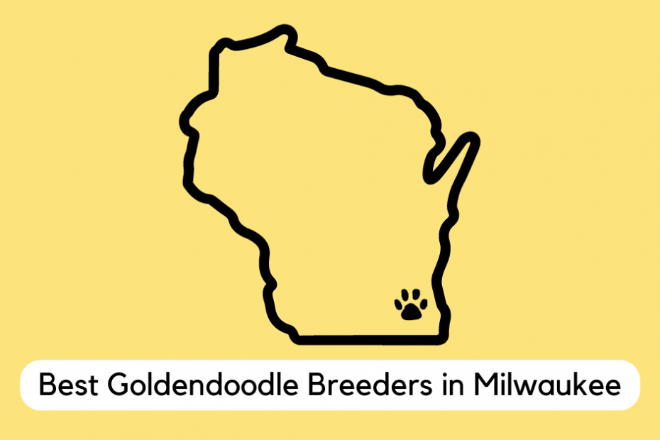 Visual outline of the state of Wisconsin with a paw located in the location of Milwaukee