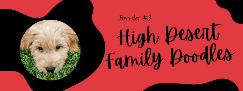 Visual of High Desert Family Doodles breeder