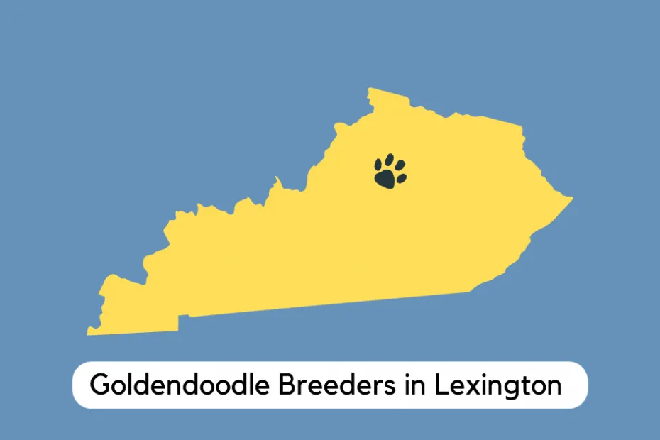 The state of Kentucky with a paw located at Lexington to show the best Goldendoodles breeders in that area