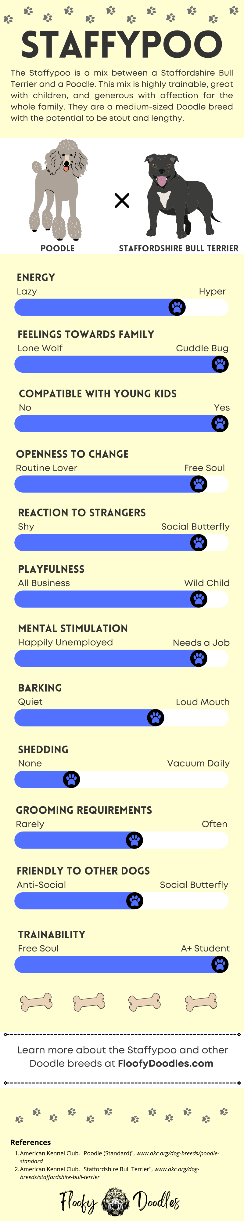 Infographic showing the Staffypoo's traits and characteristics