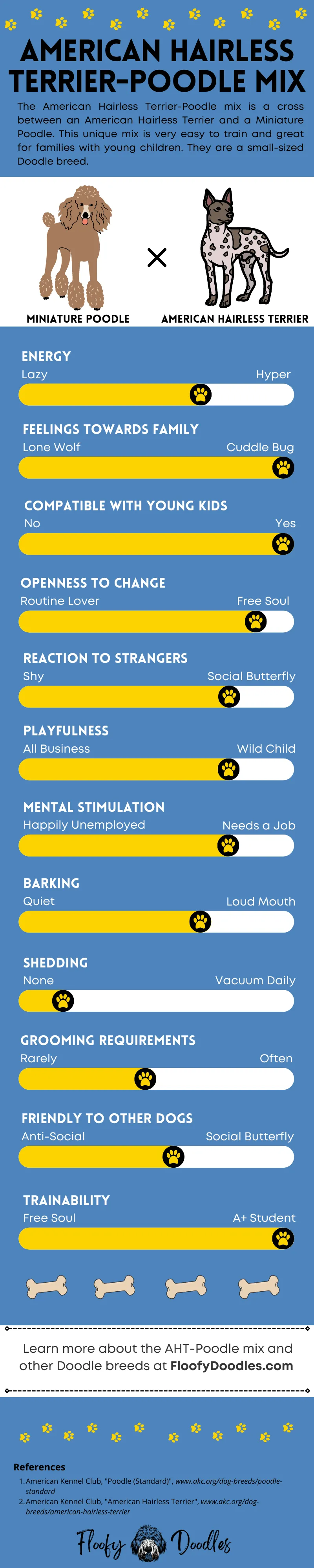 Infographic showing the traits and characteristics of the American Hairless Terrier Poodle mix
