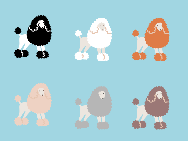 Six different colored cartoon Poodles