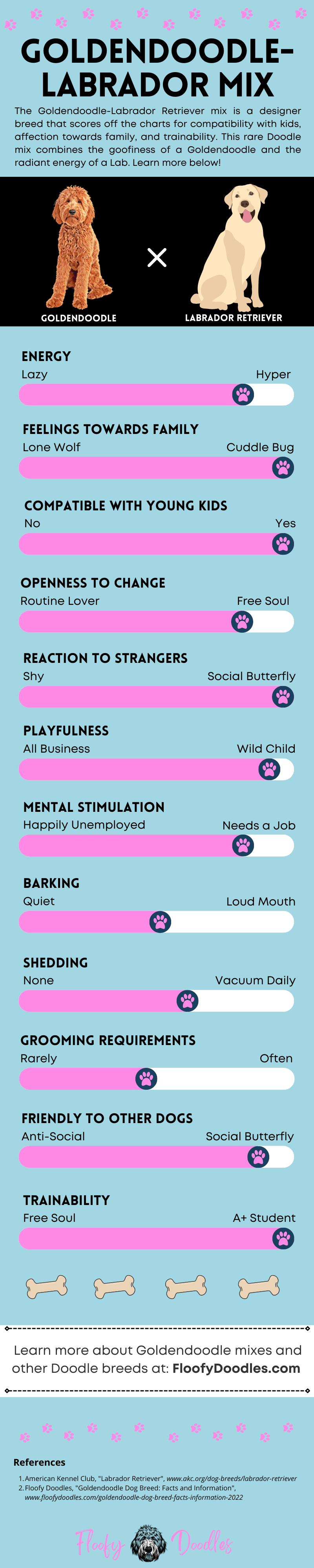 Breed summary of the Goldendoodle-Labrador Retriever mix