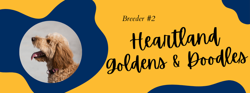 Visual of Heartland Goldens and Doodles breeder