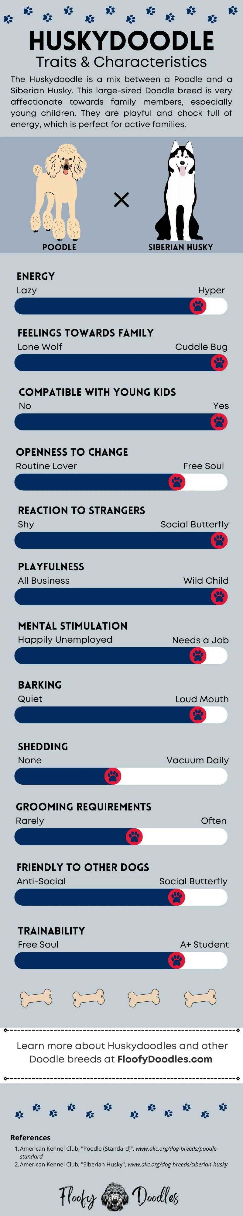 Breed summary of the Siberian Husky-Poodle mix