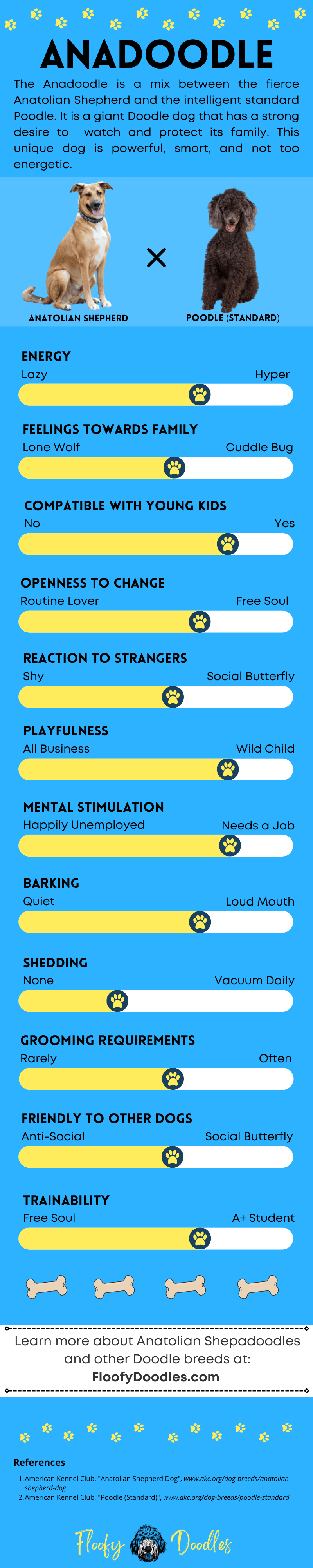 Infographic with different categories that represent the traits and characteristics of the Anatolian Shepherd Dog-Poodle mix