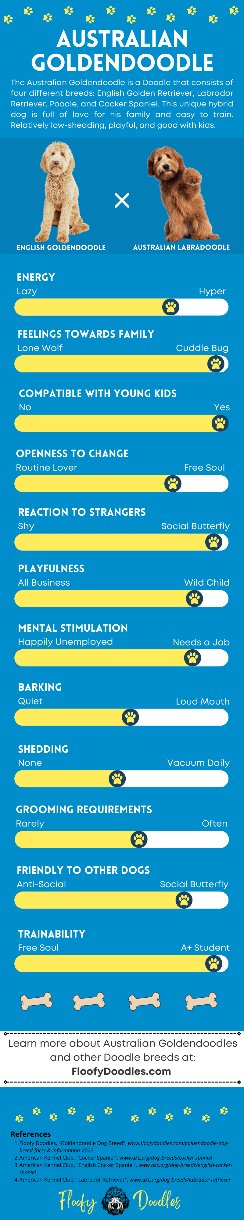 Visual summary of the traits and characteristics of the Australian Goldendoodle dog breed