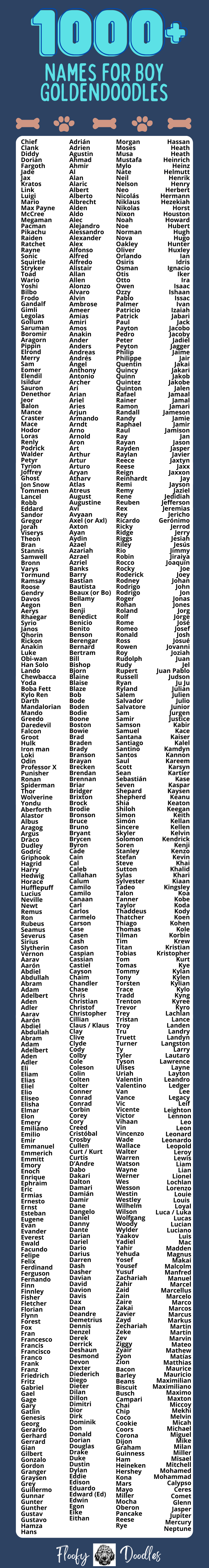 Visual list of over 1000 names for boy goldendoodles