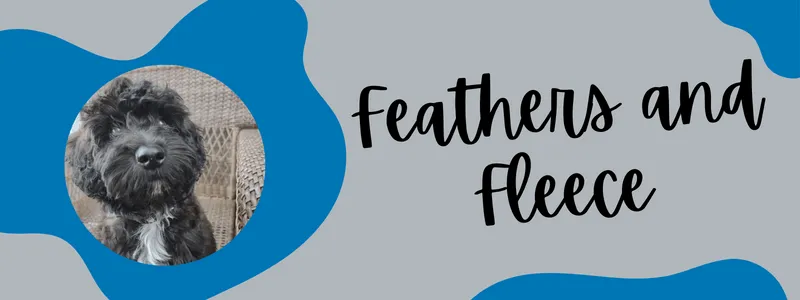 Decorative banner of Feathers and Fleece