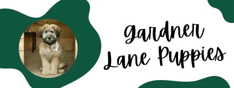 Green and white decorative banner of gardner lane puppies breeder