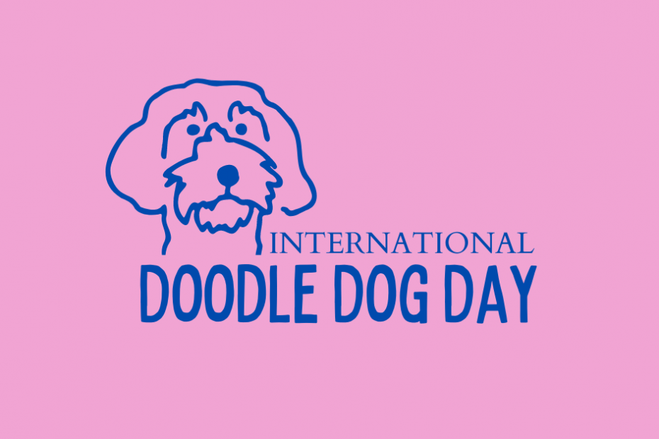 Cartoon dog with text reading international doodle dog day