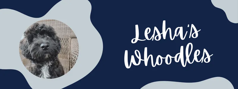 Decorative navy and grey banner of text reading "leshas whoodles"