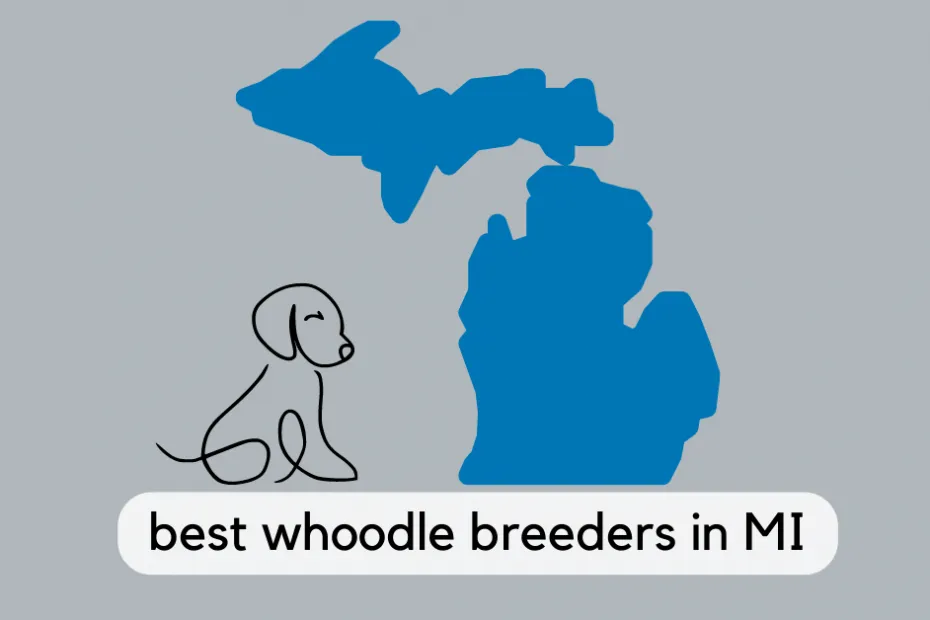 State of Michigan with text that reads 'best whoodle breeders in MI'