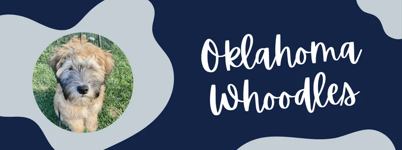 Decorative navy and grey banner of text reading "oklahoma whoodles"