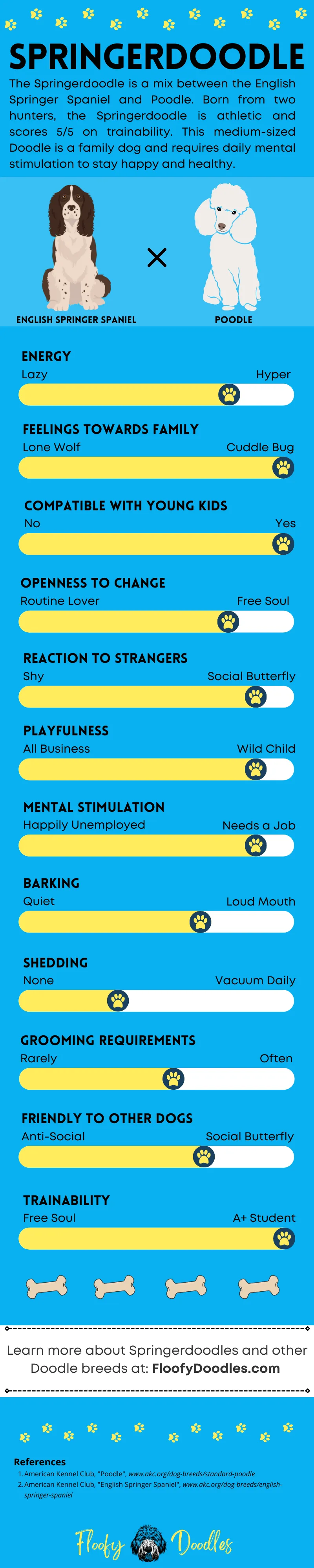 Rated categories of the springer spaniel-poodle mix breed