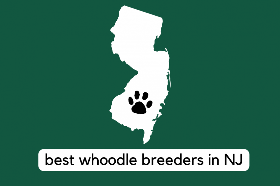 state of new jersey with text reading "best whoodle breeders in NJ"