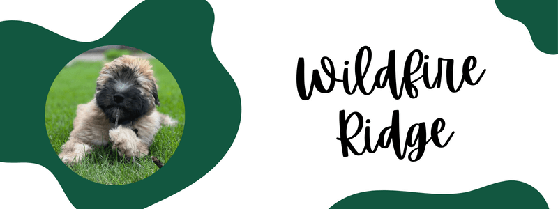 Green and white decorative banner of wildfire ridge breeder