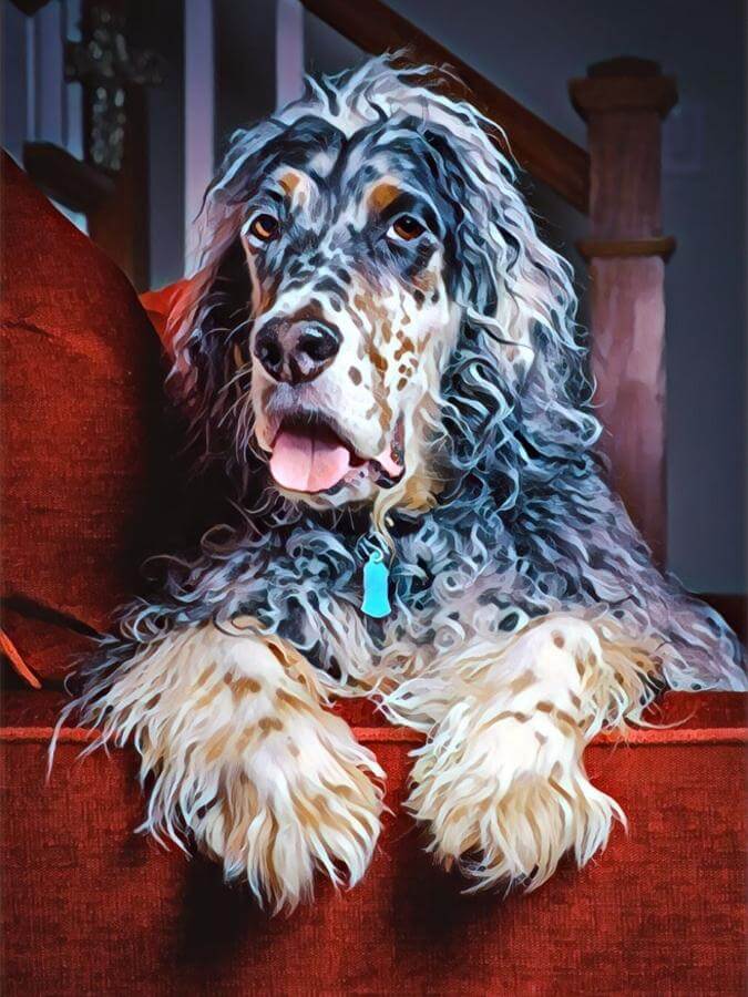 Painting of an English Setter