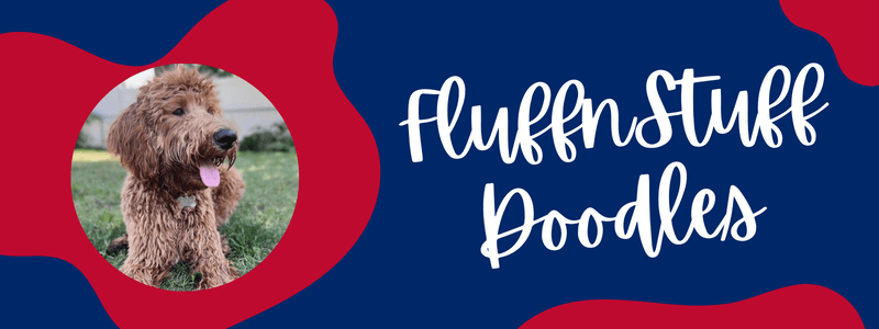 Decorative blue and red banner with text that says "FluffnStuff Doodles"