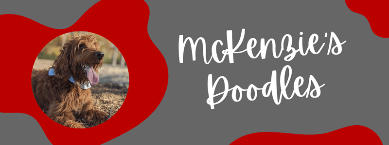 Grey and scarlet decorative banner with text that says "McKenzie's Doodles"