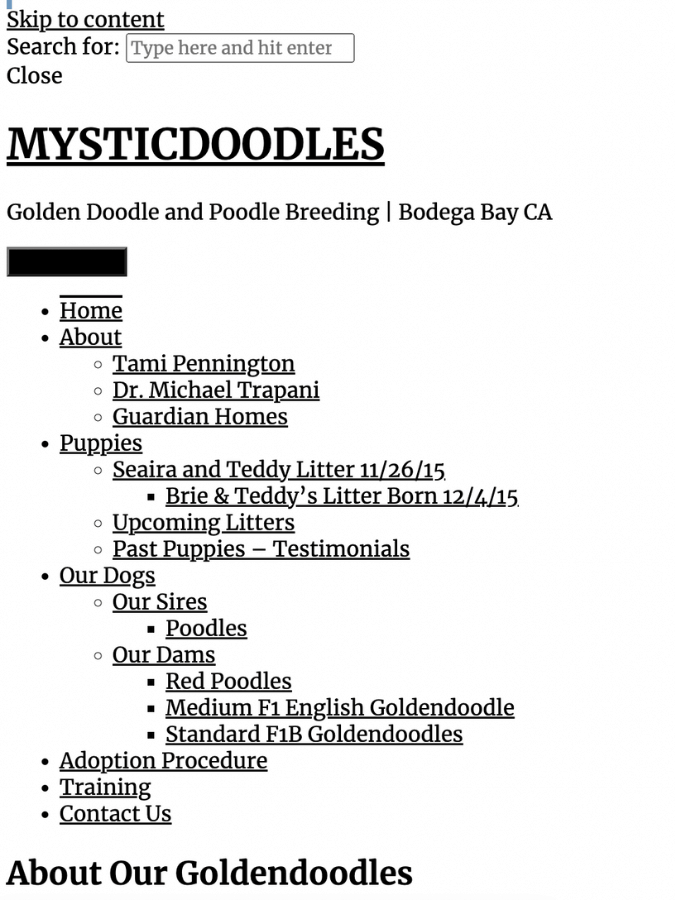 Screenshot of the homepage of Mystic Doodles' website