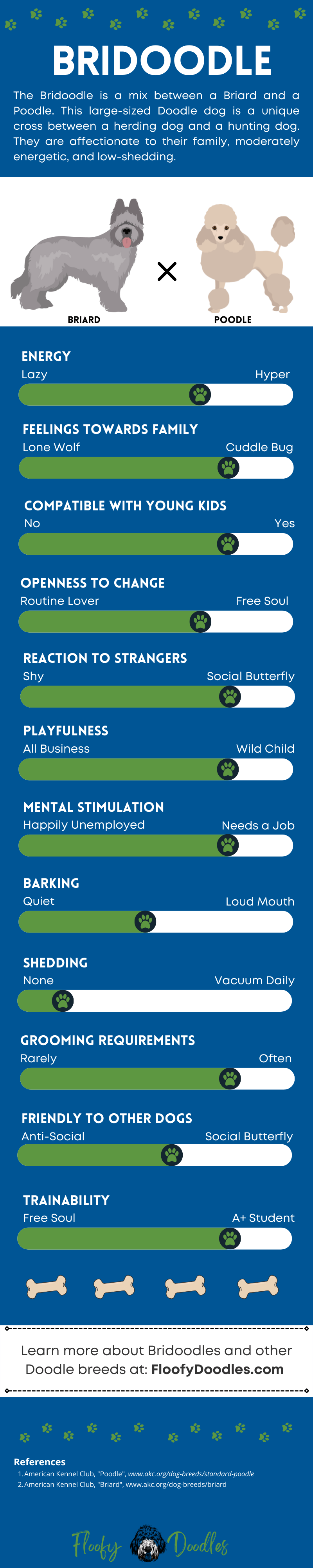 Infographic showing the traits and characteristics of the Briard-Poodle mix dog