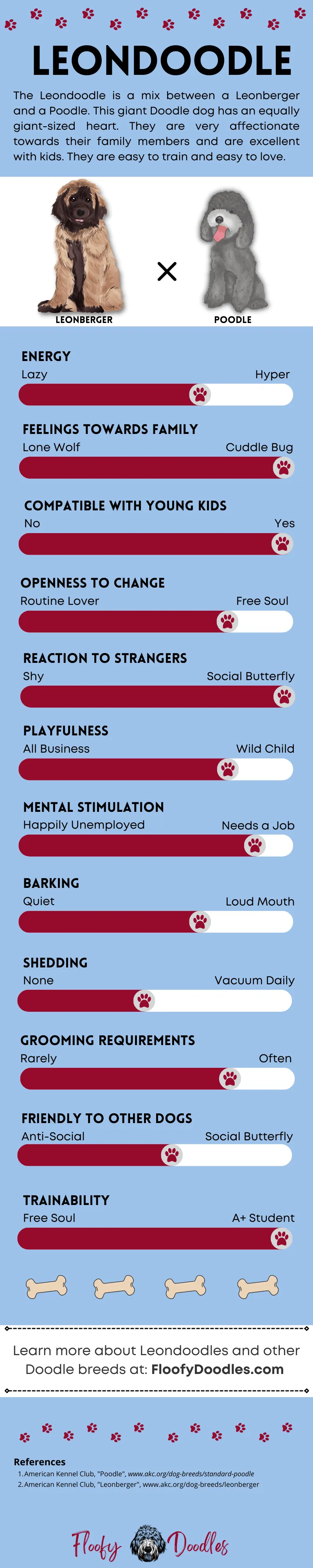 Visual summary of the different traits and characteristics of the Leonberger-Poodle mix