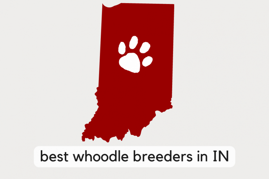 State of Indiana with text below reading "best Whoodle breeders in IN"