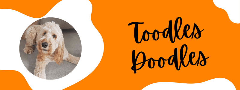 Decorative banner displaying Tennessee orange and white with text that says "Toodles Doodles"