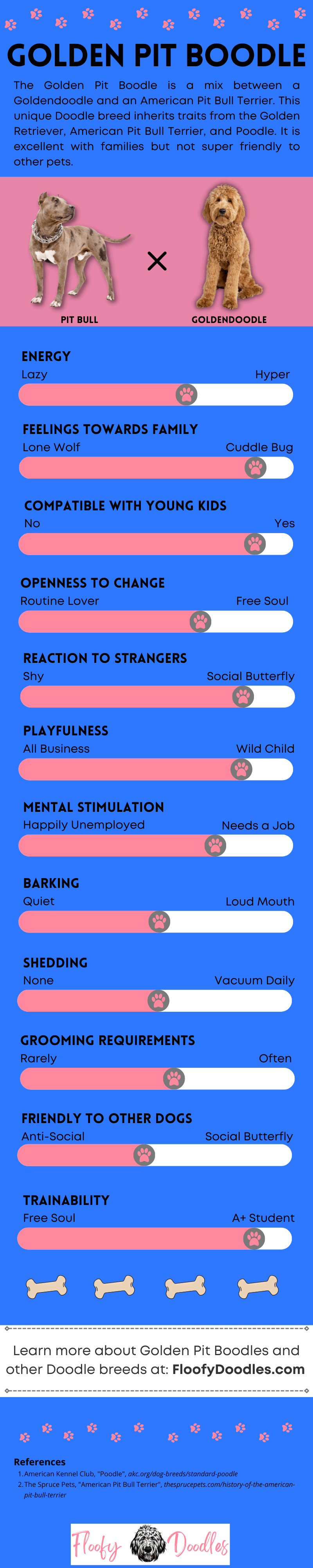 Summary of the traits and characteristics of the Goldendoodle-Pit Bull mix