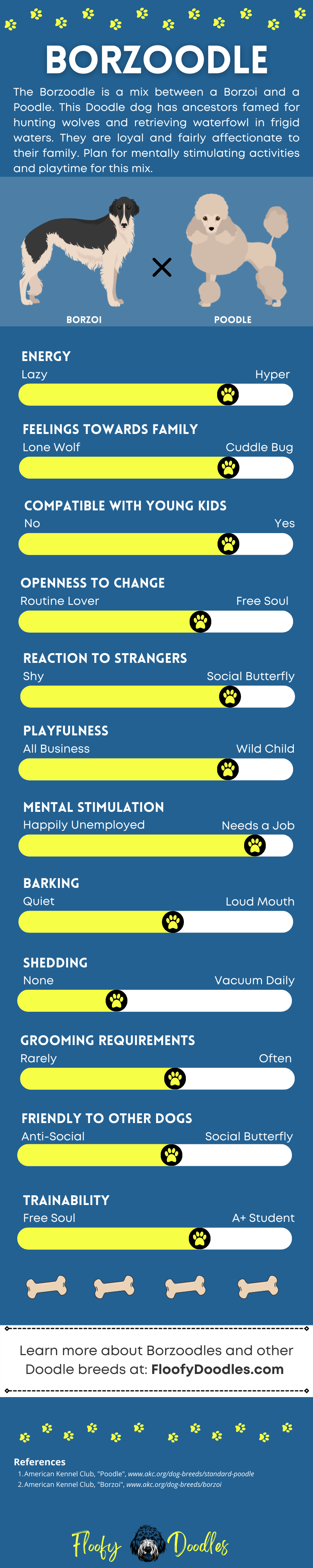 Visual summary of the traits and characteristics of the Borzoodle