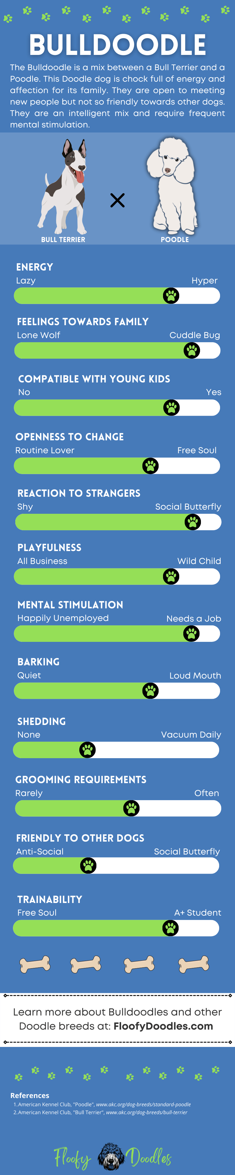 Visual summary of the traits and characteristics of the Bulldoodle