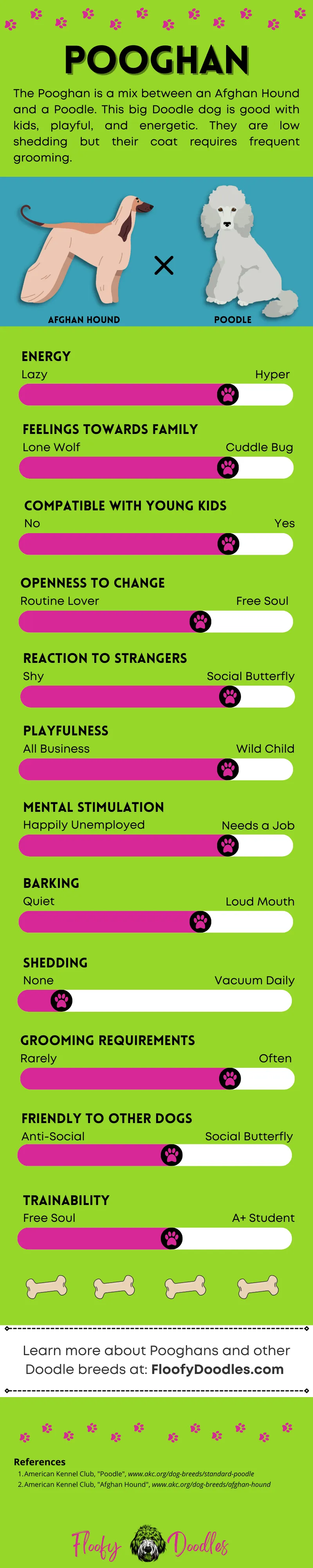 Visual summary of the traits and characteristics of a Pooghan dog