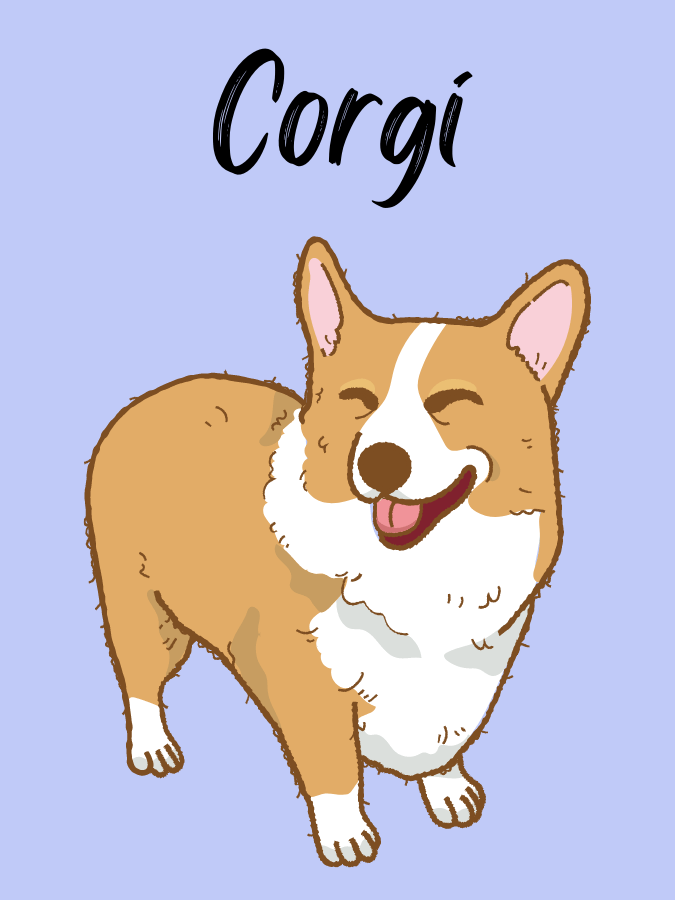 Cartoon Corgi smiling with text above saying "Corgi"
