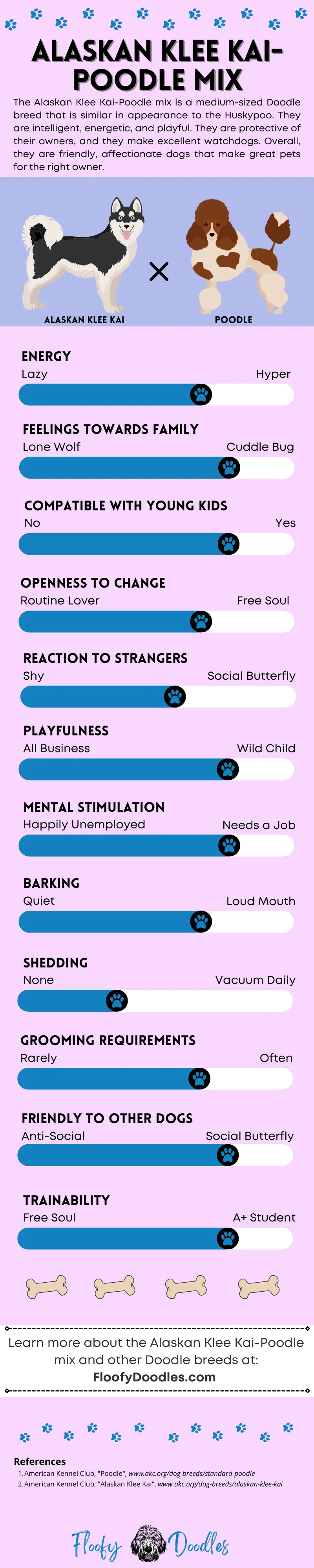 Visual summary of the traits and characteristics of the Alaskan Klee Kai-Poodle mix