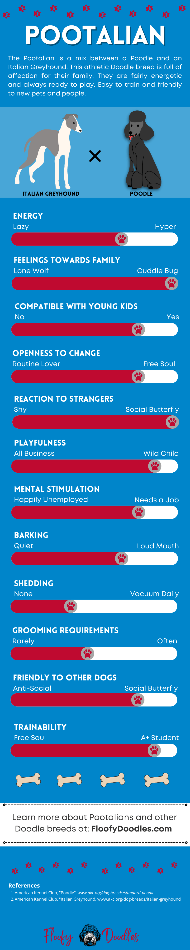 Visual summary of the traits and characteristics of the Italian Greyhound-Poodle mix