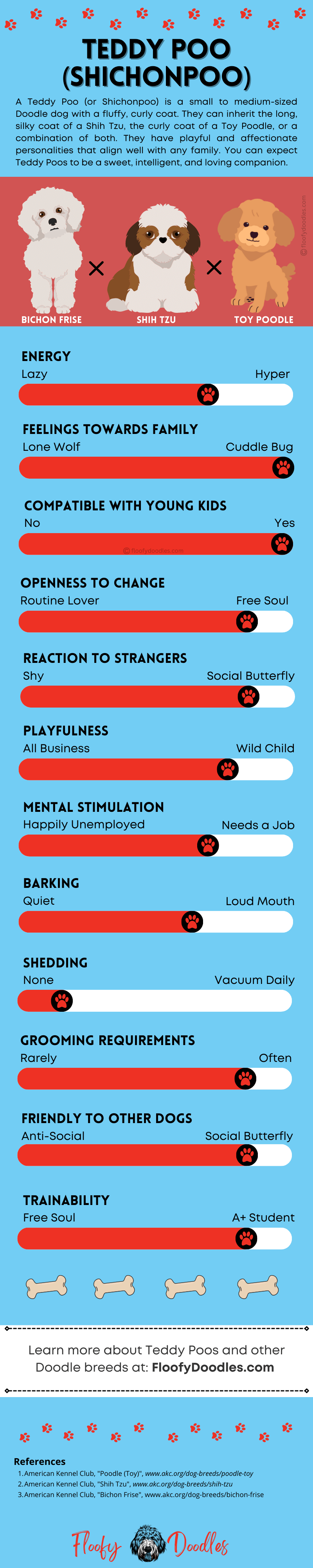 Visual summary of the traits and characteristics of a Teddy Poo dog