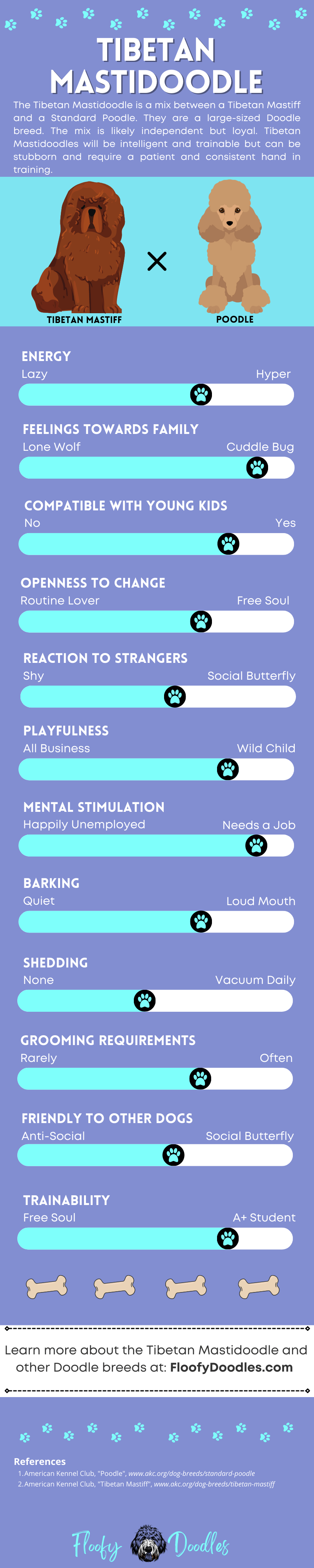 Visual summary of the traits and characteristics of a Tibetan Mastidoodle