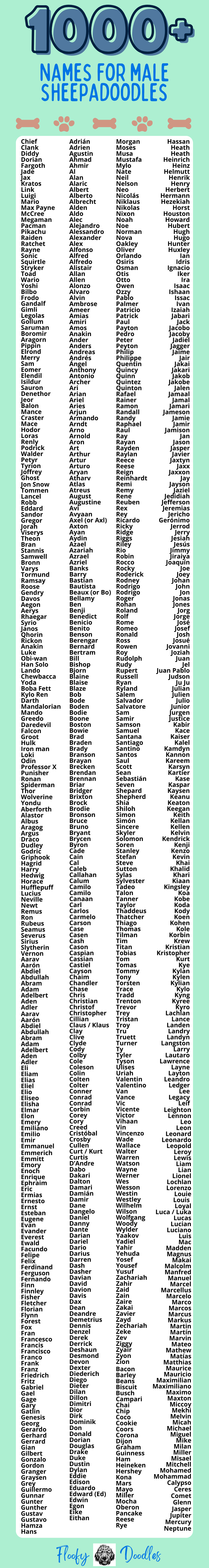 List of over 1000 unique names for male Sheepadoodle dogs