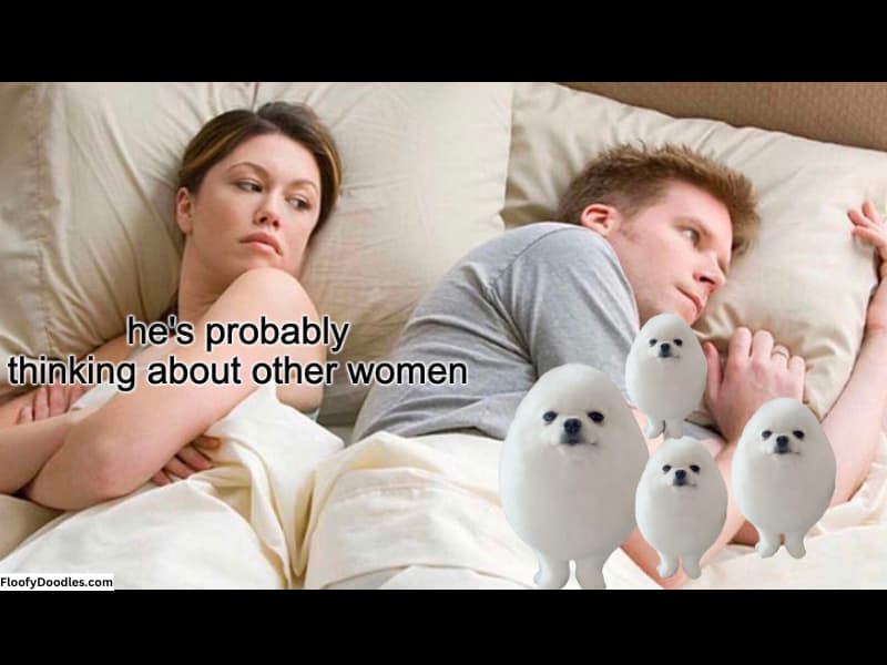 The couple in bed meme with Eggdog dreams.