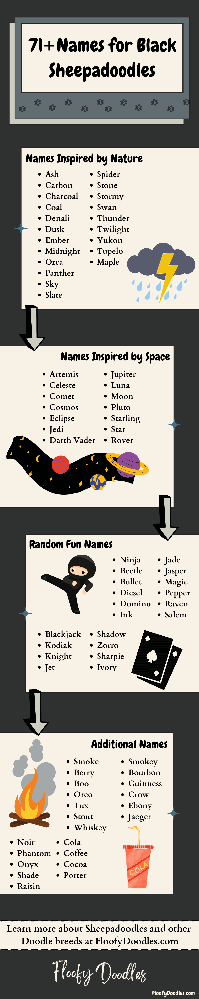 An artistic list of name ideas for black Sheepadoodle dogs.