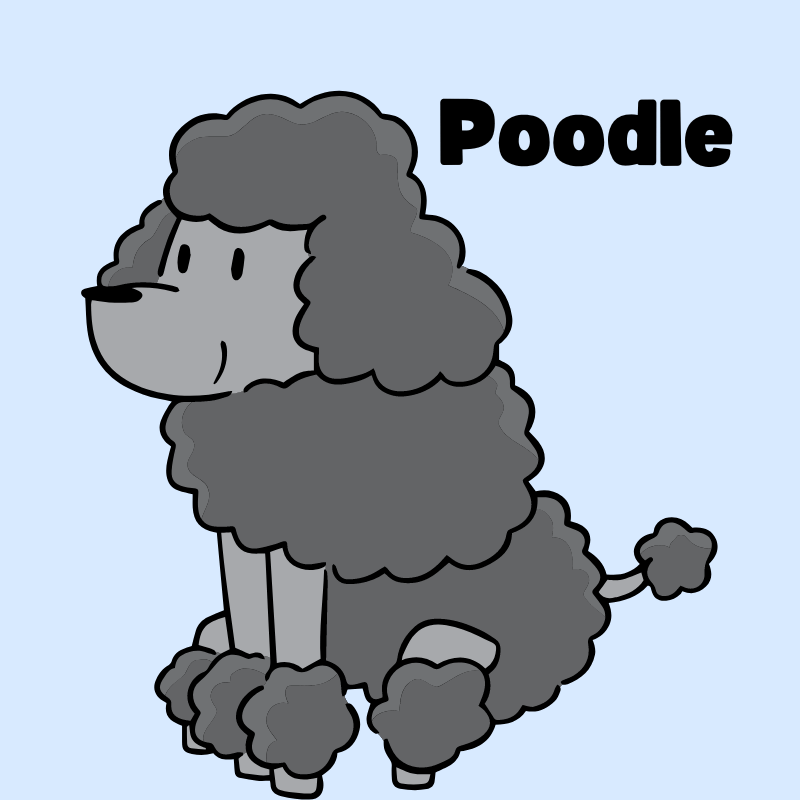 Cartoon graphic of a Poodle with text that says "Poodle"