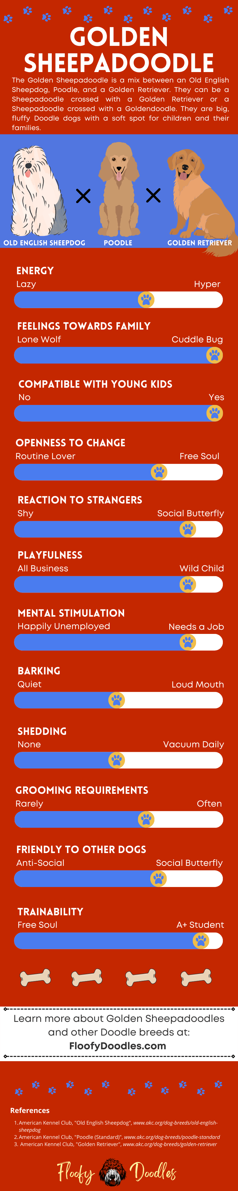 Visual summary of the different traits and characteristics of the Golden Sheepadoodle