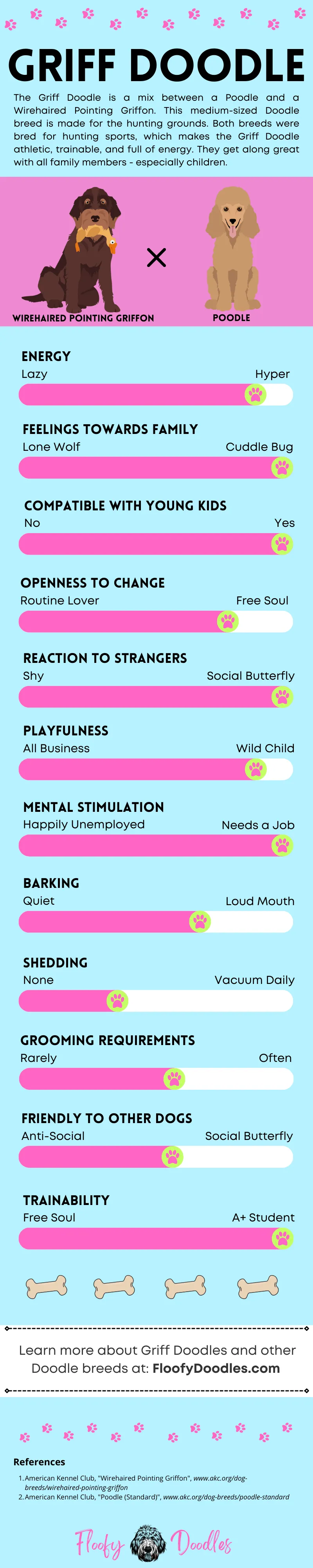 Visual summary of the traits and characteristics of a Wirehaired Pointing Griffon-Poodle cross